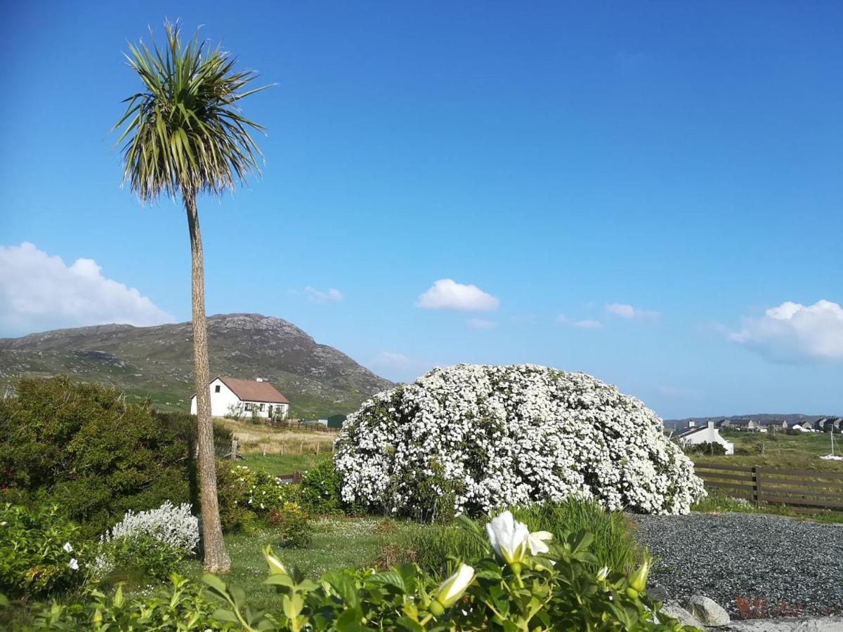 Bed and breakfast Brae Lea House, Lochboisdale, South Uist. Outer Hebrides Extérieur photo